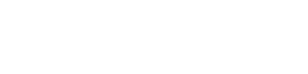 The Flood Team